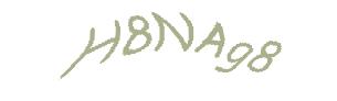 عبارت امنیتی