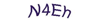 عبارت امنیتی