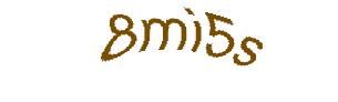 عبارت امنیتی