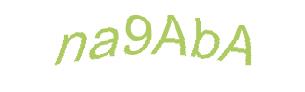عبارت امنیتی