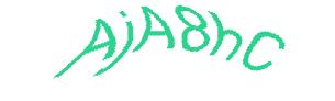 عبارت امنیتی