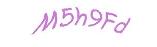 عبارت امنیتی