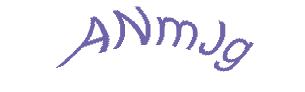 عبارت امنیتی