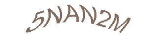 عبارت امنیتی