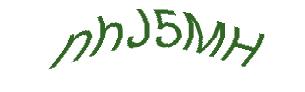 عبارت امنیتی