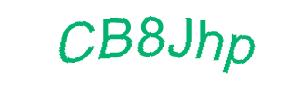 عبارت امنیتی