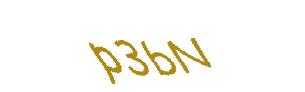عبارت امنیتی