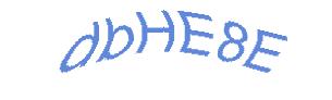عبارت امنیتی