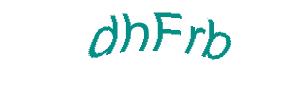 عبارت امنیتی