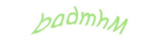 عبارت امنیتی