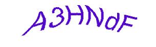 عبارت امنیتی