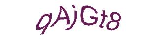 عبارت امنیتی