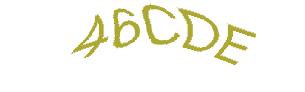 عبارت امنیتی