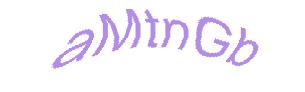 عبارت امنیتی