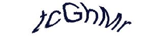 عبارت امنیتی