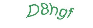 عبارت امنیتی