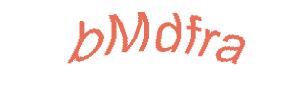 عبارت امنیتی