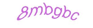 عبارت امنیتی