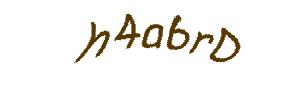 عبارت امنیتی