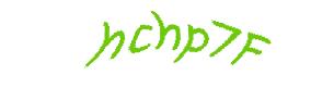عبارت امنیتی