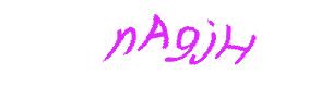 عبارت امنیتی