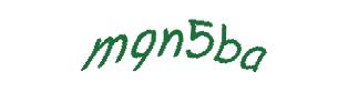عبارت امنیتی
