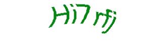 عبارت امنیتی