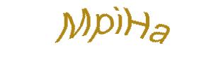 عبارت امنیتی