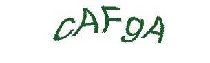 عبارت امنیتی
