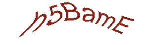 عبارت امنیتی