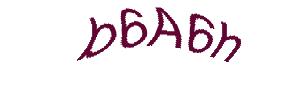 عبارت امنیتی