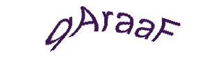 عبارت امنیتی