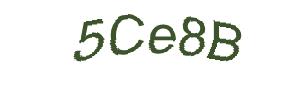 عبارت امنیتی