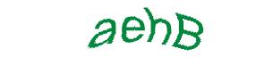 عبارت امنیتی