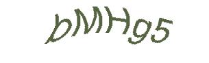 عبارت امنیتی