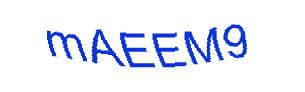 عبارت امنیتی