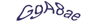 عبارت امنیتی
