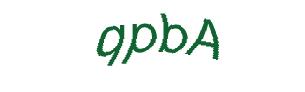 عبارت امنیتی
