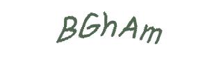 عبارت امنیتی