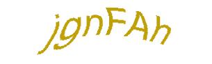 عبارت امنیتی