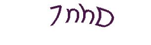 عبارت امنیتی