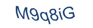 عبارت امنیتی
