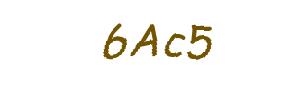 عبارت امنیتی