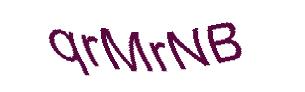 عبارت امنیتی