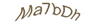 عبارت امنیتی