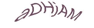 عبارت امنیتی