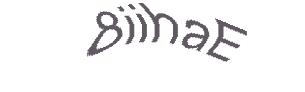 عبارت امنیتی
