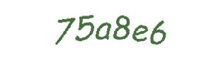 عبارت امنیتی