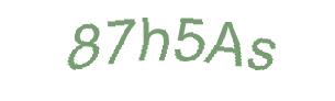 عبارت امنیتی