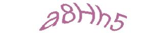 عبارت امنیتی